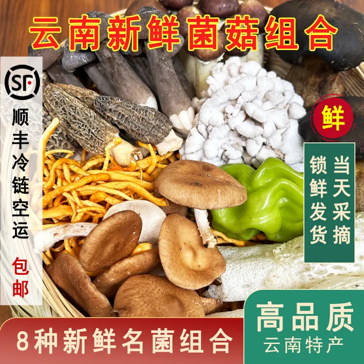 云南菌菇组合牛肝菌特产当天采摘锁鲜发货品质云南山珍菌
