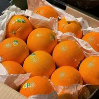 【顺丰包邮】澳洲袋鼠3107甜橙 当季限定新鲜多汁鲜甜6个起