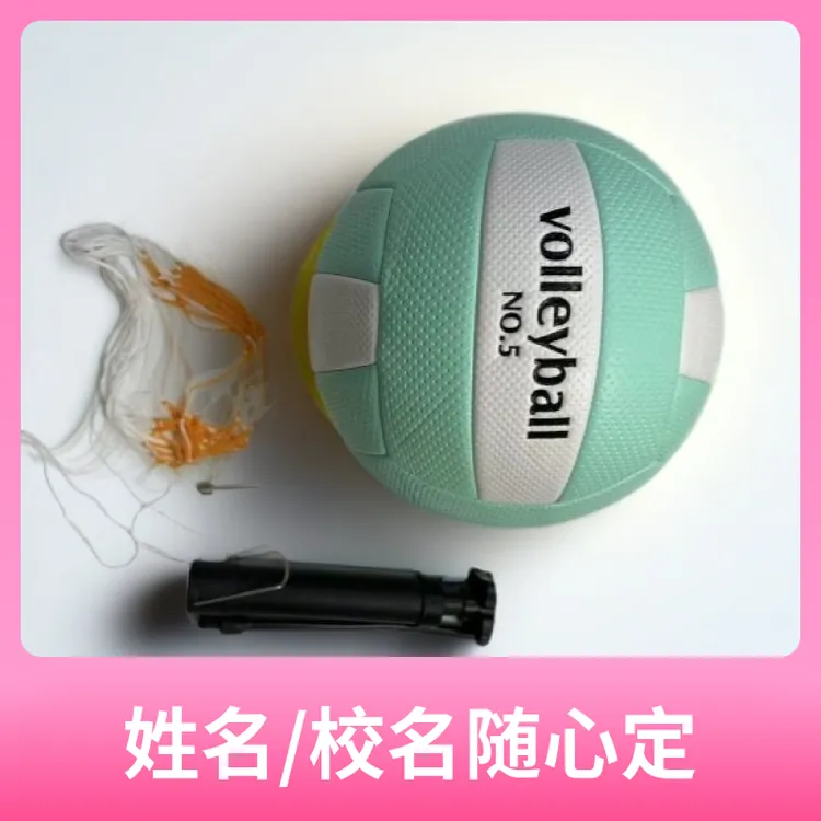 标准5号硬排球送打气筒球针网兜 可以定制印姓名中考专用比赛训练