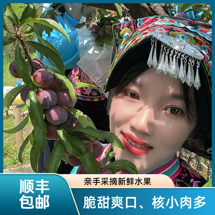 【产品过季，已售罄，明年在见】广西天峨龙滩珍珠李脆甜爆汁