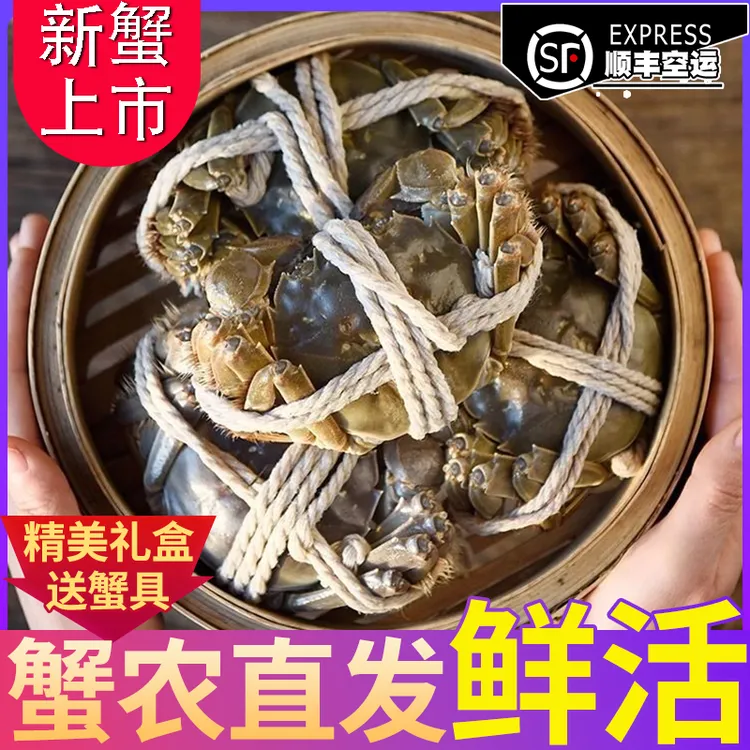 正宗盘锦河蟹鲜活河蟹0.9-1.2两母蟹三斤装顺丰航空礼盒装