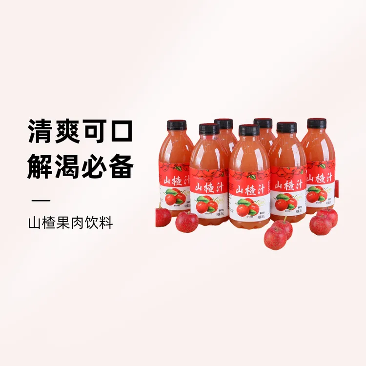 趣小馋山楂汁浓郁酸甜果味饮料酸甜可口夏季解渴饮品