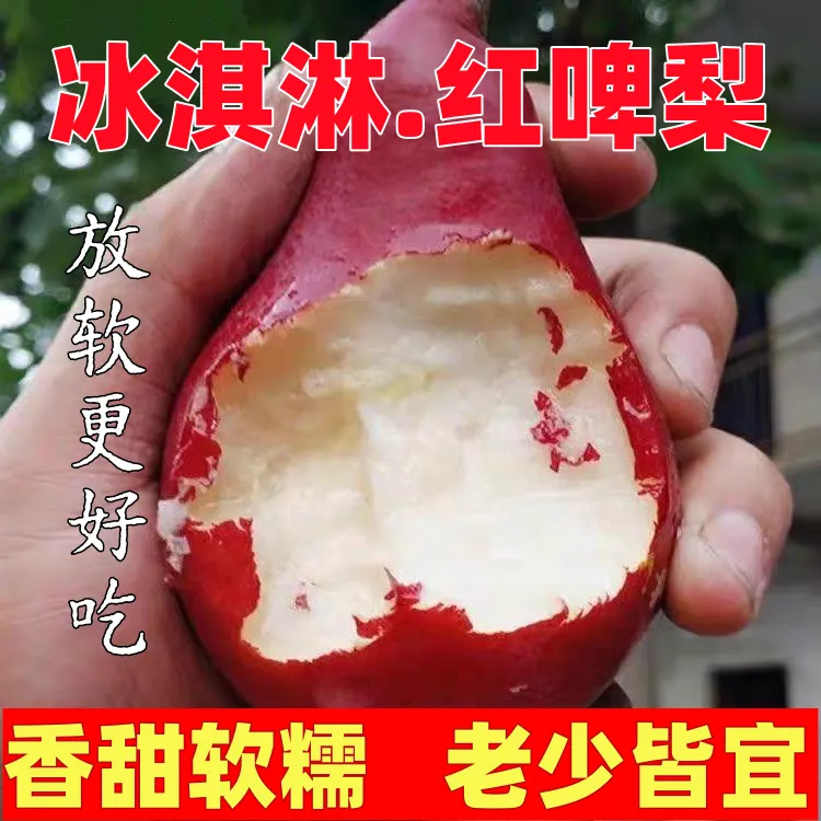 红啤梨当季水果梨子新鲜5斤红皮彩虹香软糯梨太婆啤酒梨整箱包邮