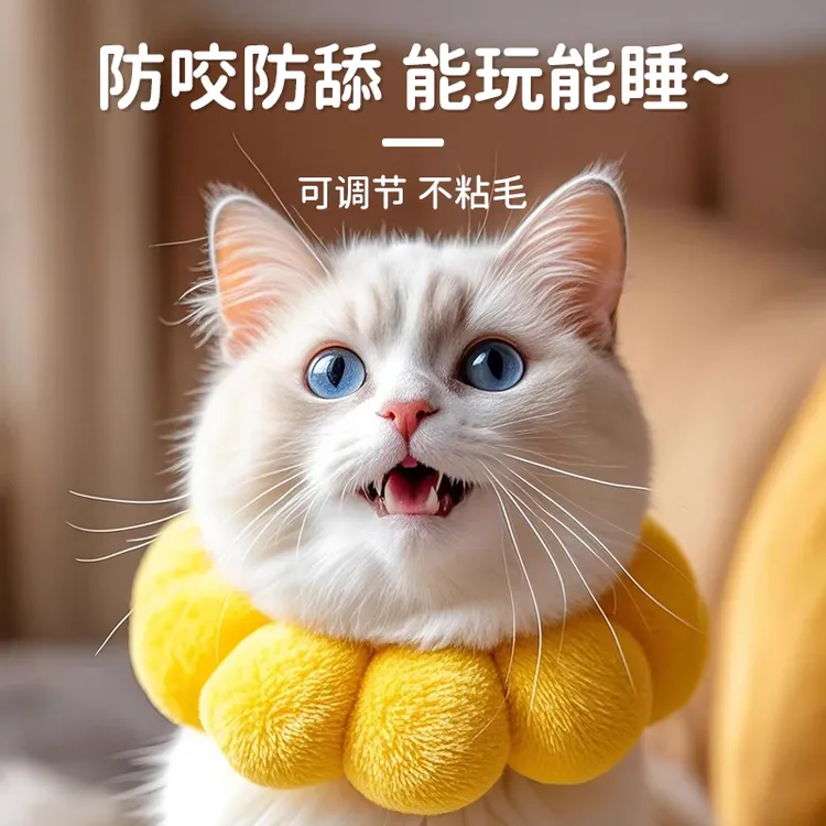 伊丽莎圈狗狗套软耻辱圈防舔神器不影响吃饭绝育项圈防咬罩