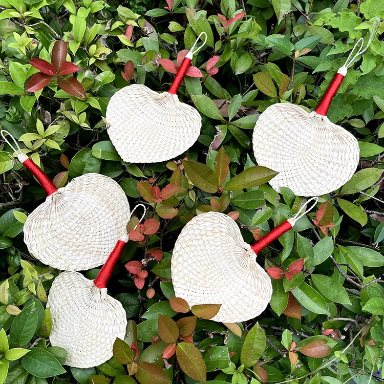 （谭小强）纯手工编织棕叶蒲扇夏季家用宝宝驱蚊纳凉手摇小扇子