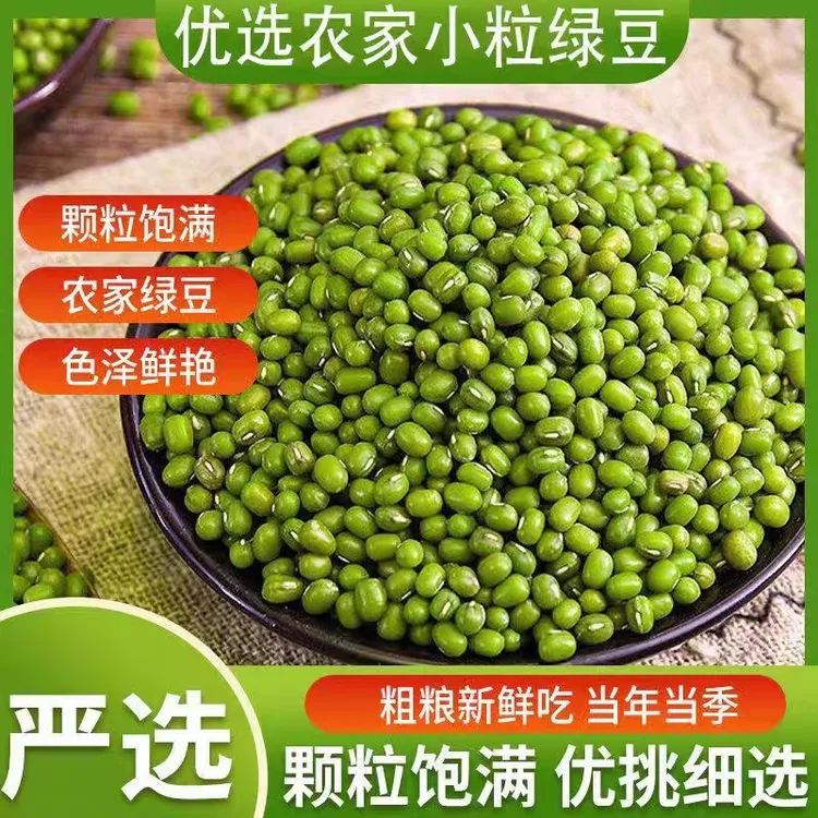 2025年农家自种老品种绿豆新鲜发豆芽熬粥