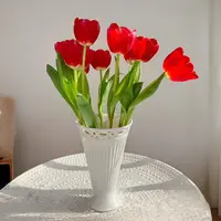 【云舍花卉】【方德】【朱雀】郁金香全场任意满两单及以上鲜花包邮发货
