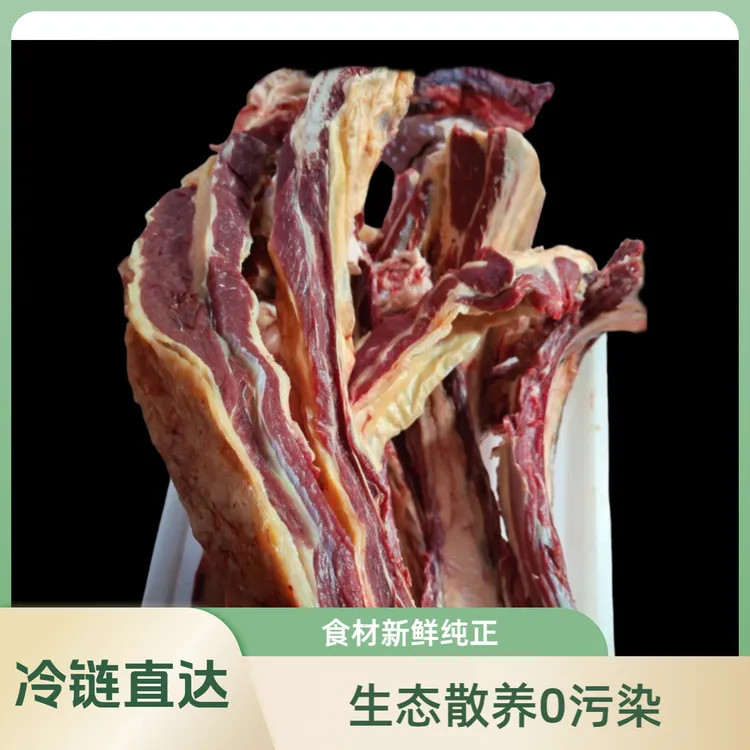 原切牛排坝上草原黄膘牛排精选牛肋排中段生鲜牛肉