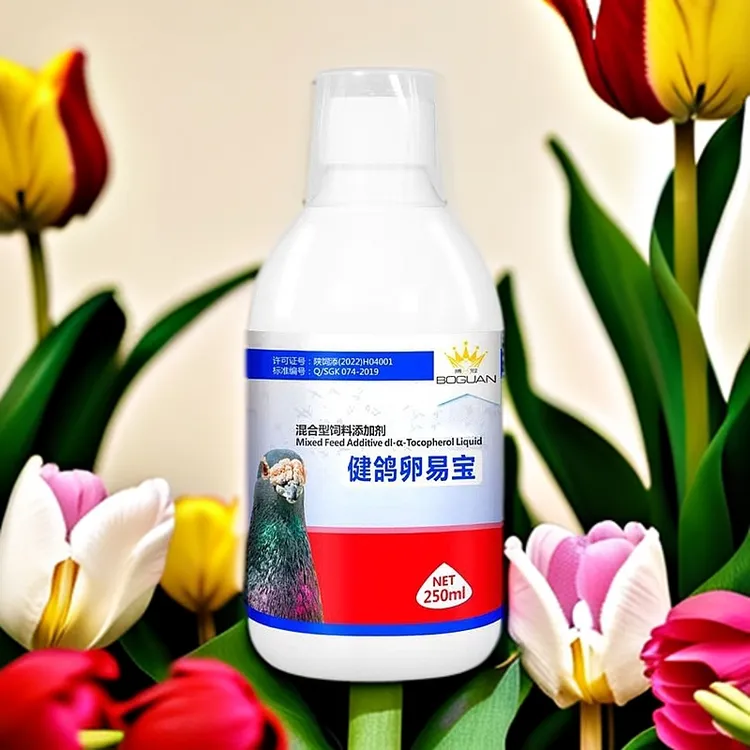 白鸽子健鸽卵易宝 saglam kaptar u rug dan go hi ri【新疆包邮】