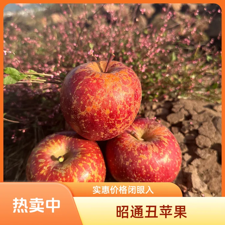 正宗昭通高山种植冰糖心丑苹果红富士脆甜多汁水果整箱产地发货