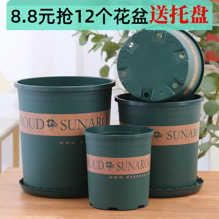 【下单送托盘】花盆清仓捡漏网红加仑盆绿萝月季玫瑰花家用塑料花盆