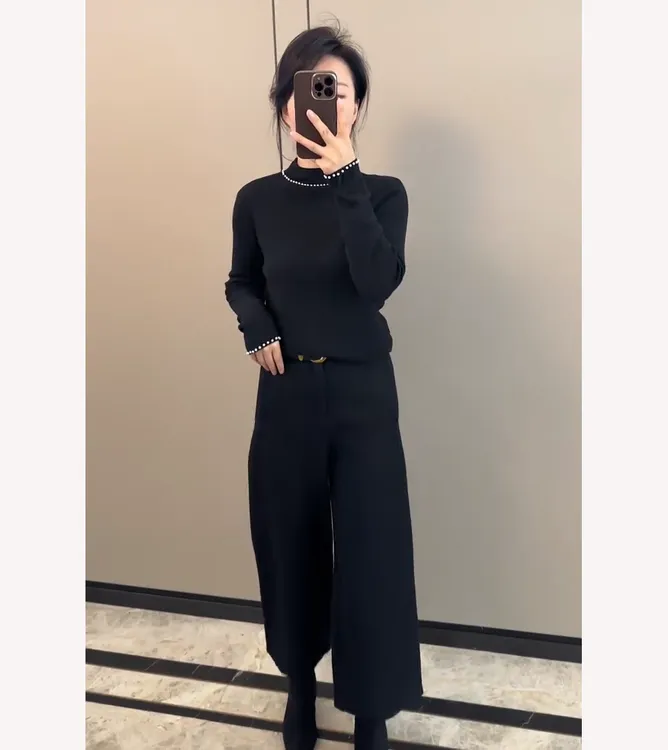 2025秋冬半高领针织毛衣内搭配大衣打底衫T恤长袖新款初秋女上衣