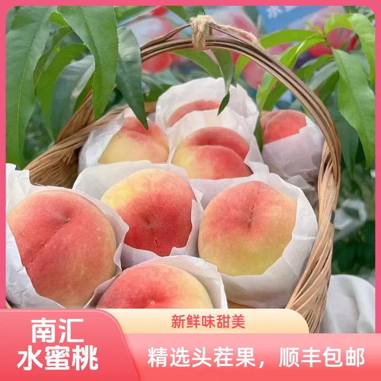 ❤正宗南汇水蜜桃桃子顺丰快递 南汇直发当季现摘新鲜水蜜桃