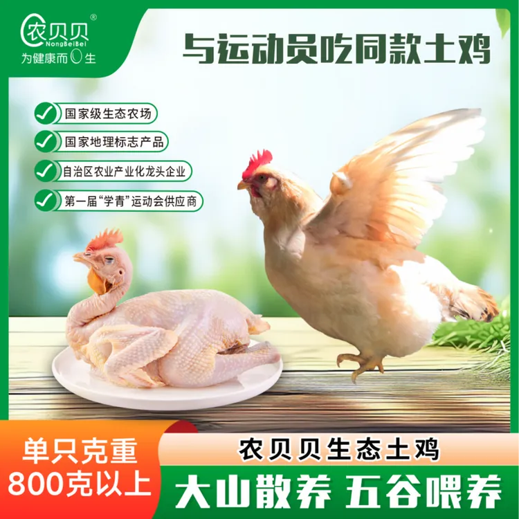 【农贝贝】玉林三黄土鸡800g以上单只装/两只装
