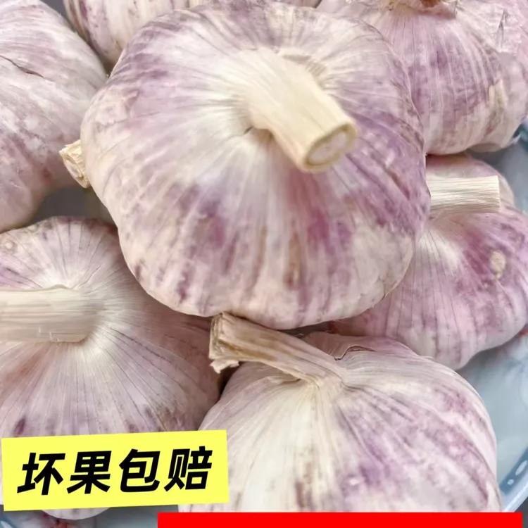 【2025新干蒜】5斤批发新干蒜农家直发大蒜紫白皮晾干大蒜头十分干