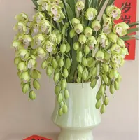 【碧波仙子一年苗】带香味 带盆 室内客厅好养易活蕙兰