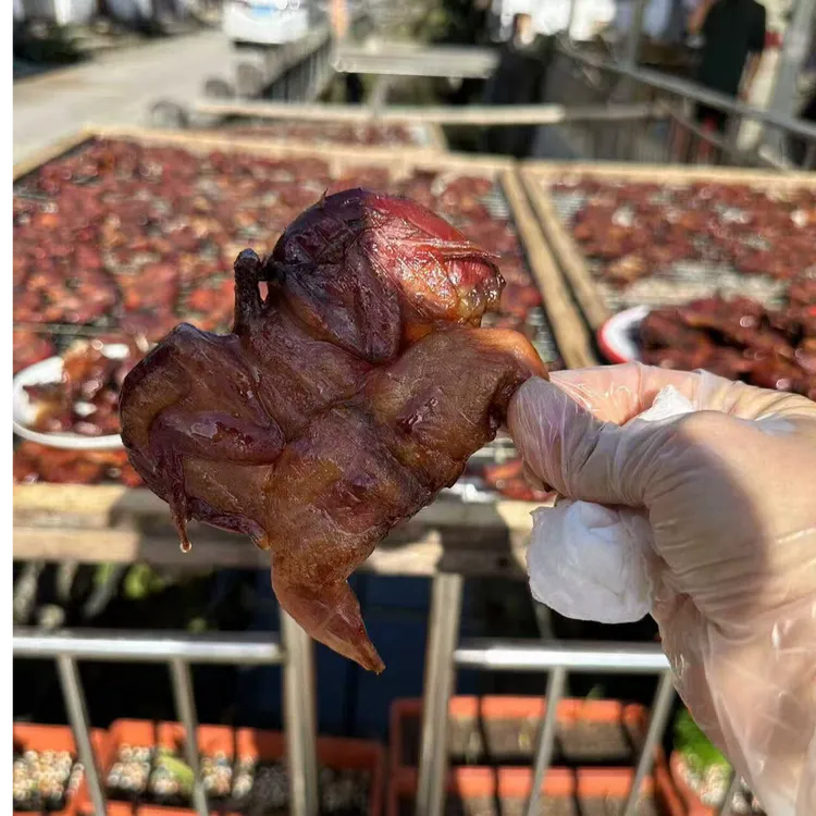温州特产酱晒小鹌鹑腊味酱香鹌鹑下酒菜烧烤家庭酒店顺丰包邮