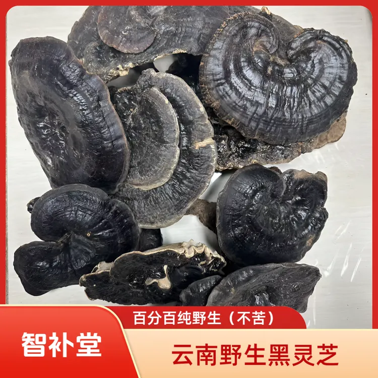 正宗云南野生紫灵芝黑灵芝煲汤汤料泡酒泡茶菌香滋补食材深山不苦