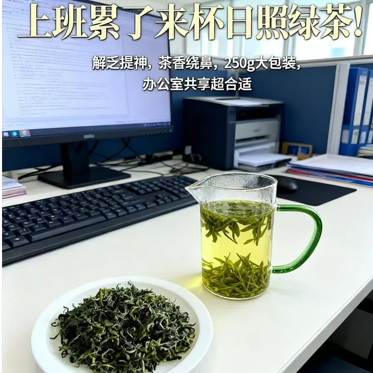 秋茶白露日照绿茶2025新茶叶散装炒青耐泡浓香型板栗香豌豆香250g