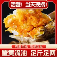 江苏原产地【全母蟹】鲜活河蟹1.3-1.0两全母蟹18只-20只