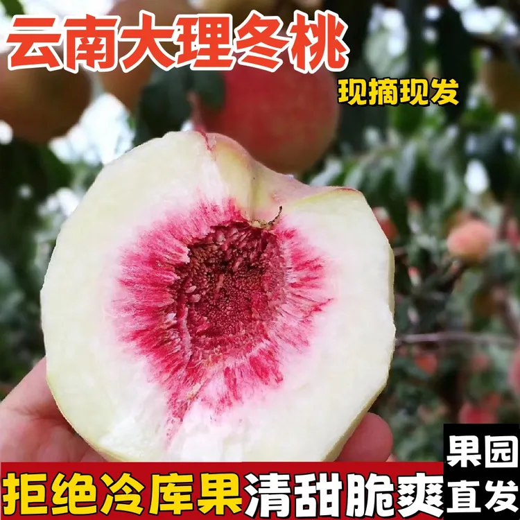 正宗云南大理冬桃现摘现发新鲜甜脆桃应季水果高山小毛桃子包邮