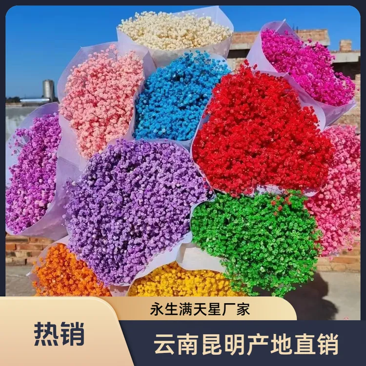 云南基地工厂直销永生花满天星彩星手工DIY节日送礼花束花店