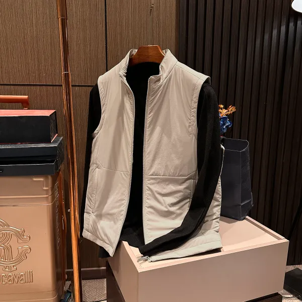 【老钱高配 鹅绒轻盈保暖】冬季新款男士高档立领纯色百搭羽绒马甲