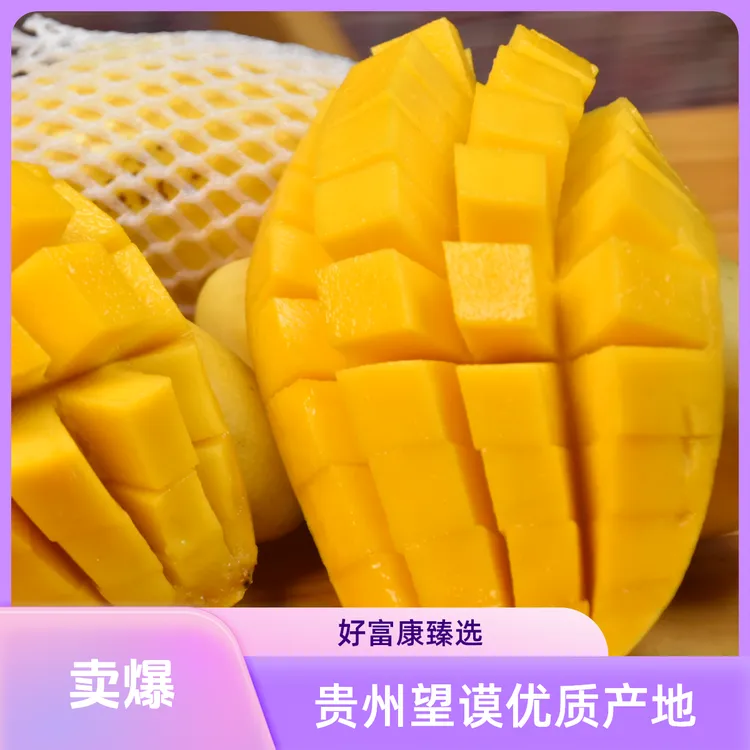 金煌芒贵州山地芒果水仙纤维少香甜新鲜水果精选网红新鲜水果