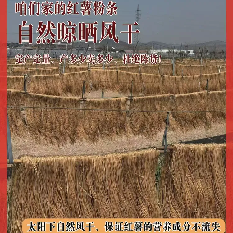 【净重5斤】正宗纯手工红薯粉条自然晾晒沂蒙山特产爽滑劲道不含胶