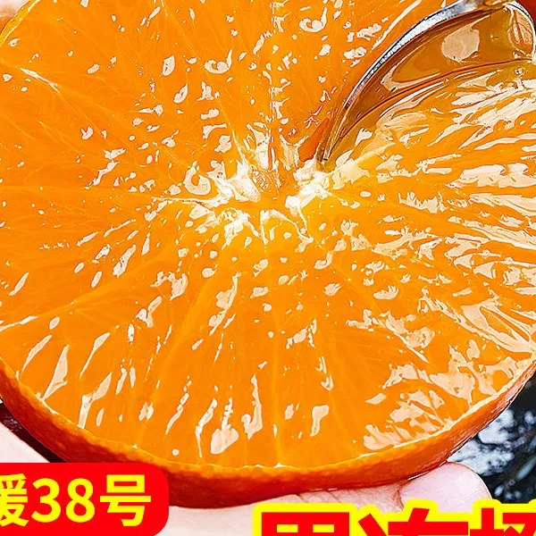 r四川正宗爱媛果冻橙新鲜38号果冻橙当季水果孕妇适用维C丰富
