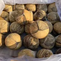 【恒泽优选】泰国进口香水椰皇（老椰）