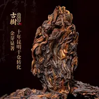 【冰岛古树老茶头】特级500/罐 2015年 花香糯香馥郁 可泡可煮