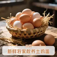 【破损包赔】20枚散养土鸡蛋新鲜营养健康鲜蛋40g/枚农家五谷喂养