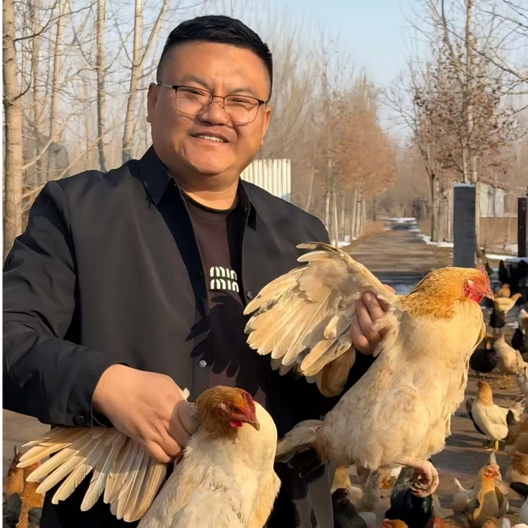 [张班长农场]溜达鸡700天以上黄油老母鸡（2只装）