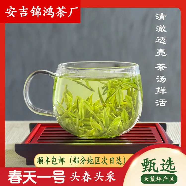 春天一号正宗特产安吉高山白茶绿茶兰花香茶叶兰花香安吉新茶白茶