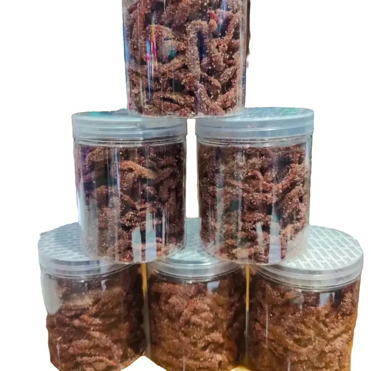 升级款海钓瓶装蜜制红沙蚕船钓矶钓垂钓钓友腥味鲜活品质腌制使用