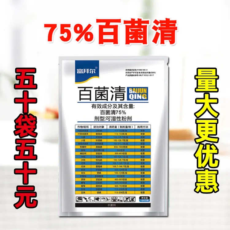 75%百菌清水稻稻瘟病纹枯病果树蔬菜类白粉病霜霉病锈病多种病害