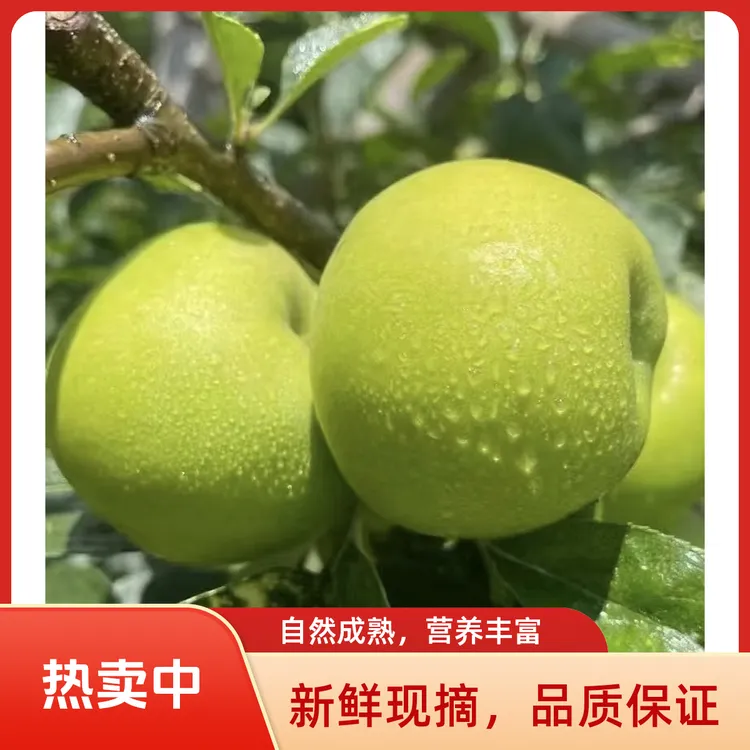 【阿克苏王林苹果】头茬现摘新鲜当季应季水果纯甜脆爽多汁