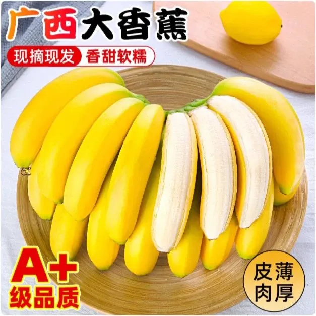 广西高山甜香蕉当季新鲜水果5斤/10斤产地粉芭蕉
