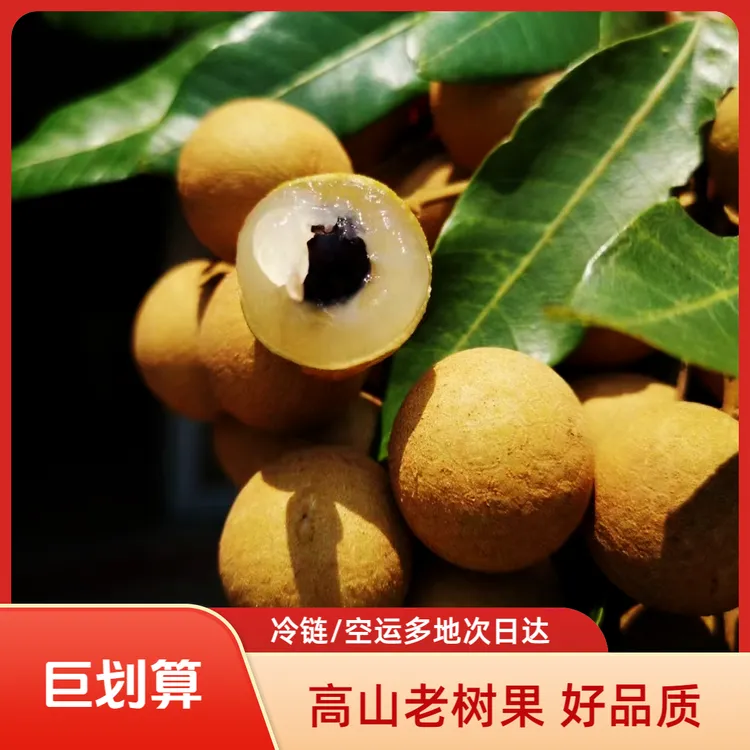 冷链/空运广东龙眼5斤储良龙眼精选礼盒高州石硖龙眼新鲜桂圆包邮