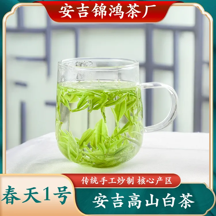 春天一号 A97正宗安吉高山白茶绿茶白茶口粮茶安吉新茶白茶