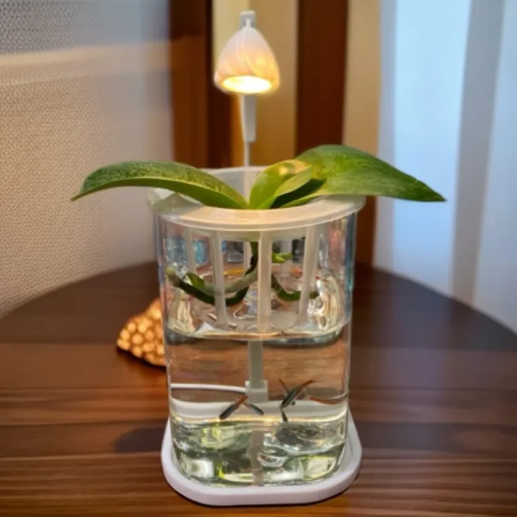 花鱼共养水培植物玻璃鱼缸带补光灯定植篮桌面绝美生态造景