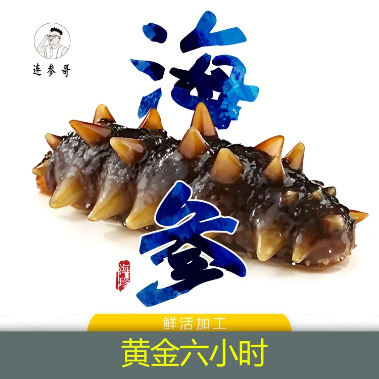 【连参哥】精品辽参大连即食海参 营养丰富4斤送2斤（8-10）