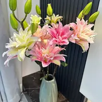 双头【桃花妖】重瓣百合 栀子柠檬清香 夏天小清新 粉红色