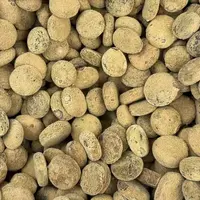 正宗化州橘红正金毛帝王小小小金币
