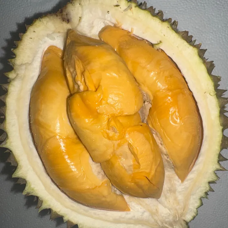 D13朱雀马来西亚名种榴莲当季新果树熟液氮冷冻带壳榴莲顺丰包邮