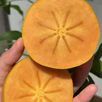 《农人老三》空运巧克力脆柿子 口感细腻 新鲜水果顺丰包邮g广西壮族自治区
