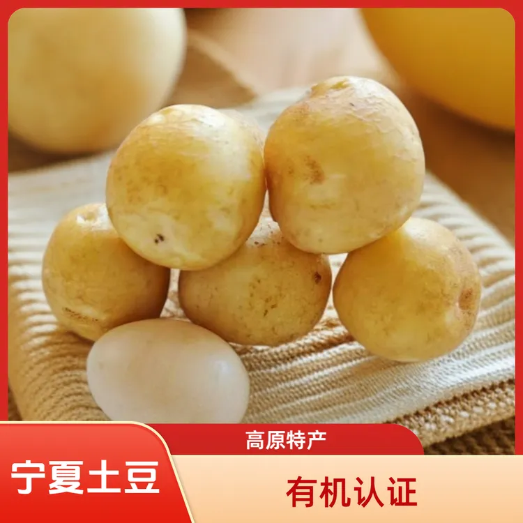 宁夏西吉高原白皮有机土豆小果7斤（李琬有机菜）有机蔬菜