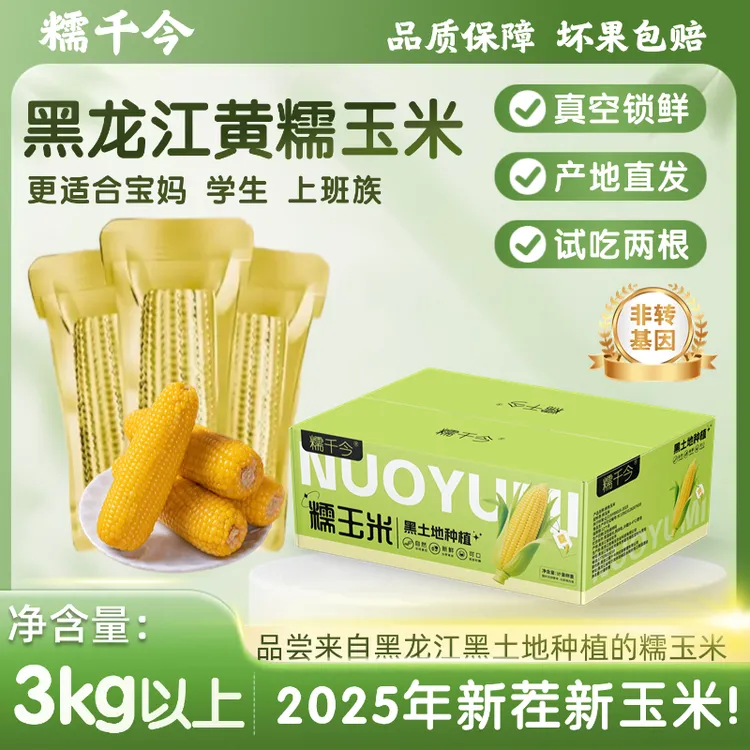 【试吃2根】糯千今东北黄糯玉米棒均重300g*10根金铝膜真空包装玉米