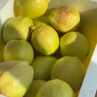【4个】瑕疵奶油芭乐